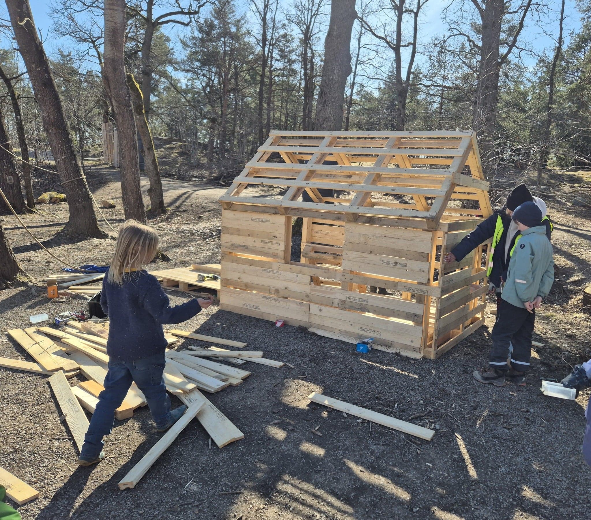Förskolebarn bygger en koja av lastpallar tillsammans en solig vårdag i skogen.