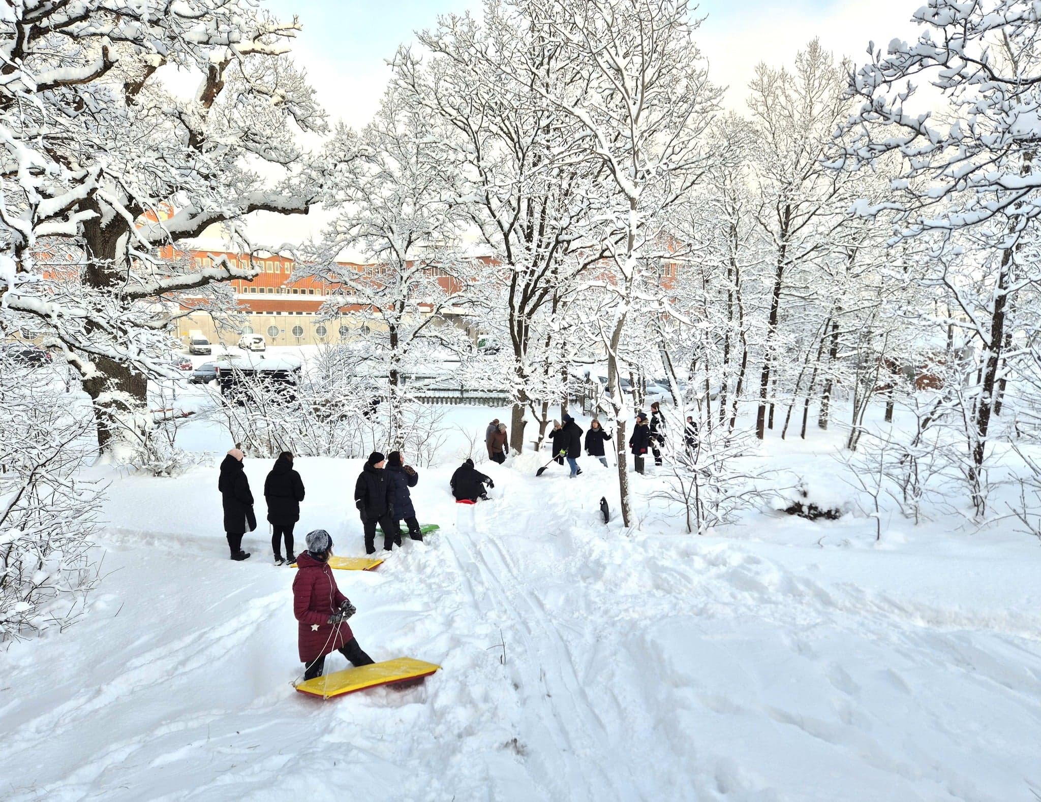 Snöig skolgård i Skarpnäck med elever på pulkor mellan träden.