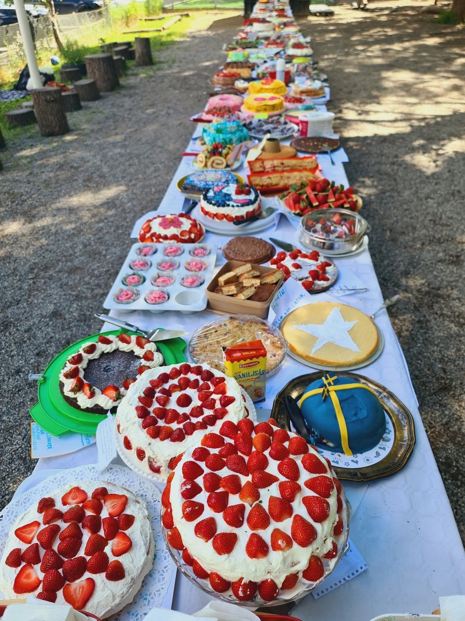 Ett långt bord utomhus fyllt med hembakade jordgubbstårtor och kakor.
